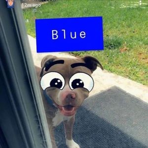 Meet your Posher, Caden